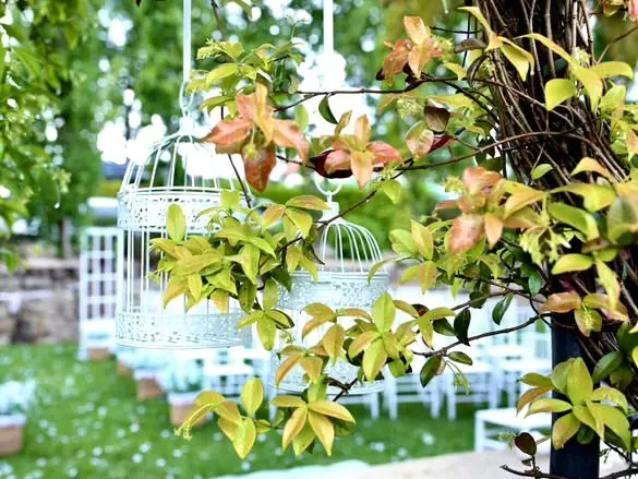 Ceremonia de boda en el jardín