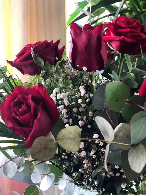 Dieciocho años en burdeos